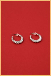 Heliophilia Silver Pendientes de Plata con Circón